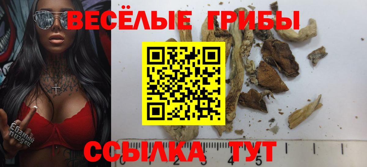 Сланцы  Галлюциногенные грибы Psilocybine cubensis  Вход с VPN 