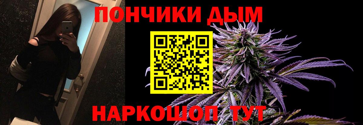 Каннабис ГИДРОПОН  Марихуана конопля  Каннабис планчик  Сланцы  Бошки Шишки индика  Вход с VPN 